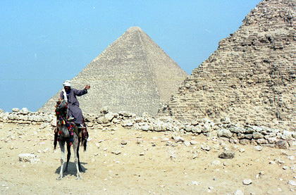 ピラミッドと観光ラクダ