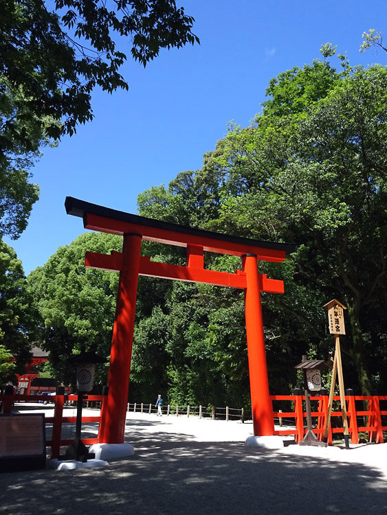 202405下賀茂神社